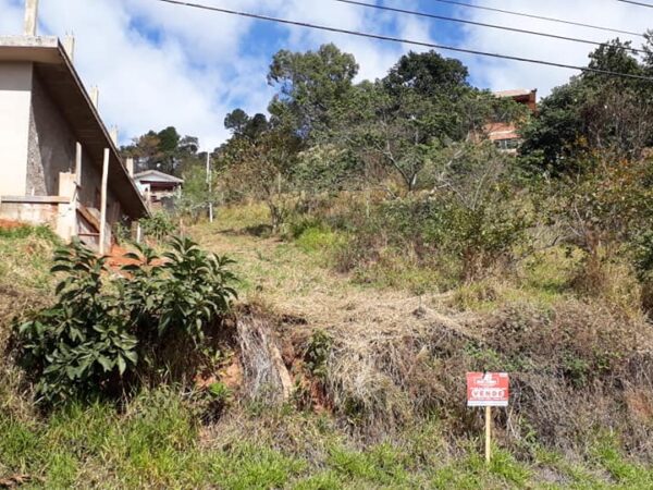 Lote Jardim Monte Alegre