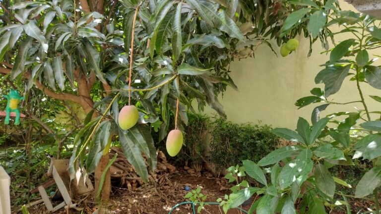 Excelente sobrado em Cond. Fechado na cidade de Águas de Lindóia