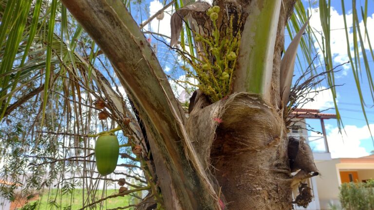 Excelente sobrado em Cond. Fechado na cidade de Águas de Lindóia