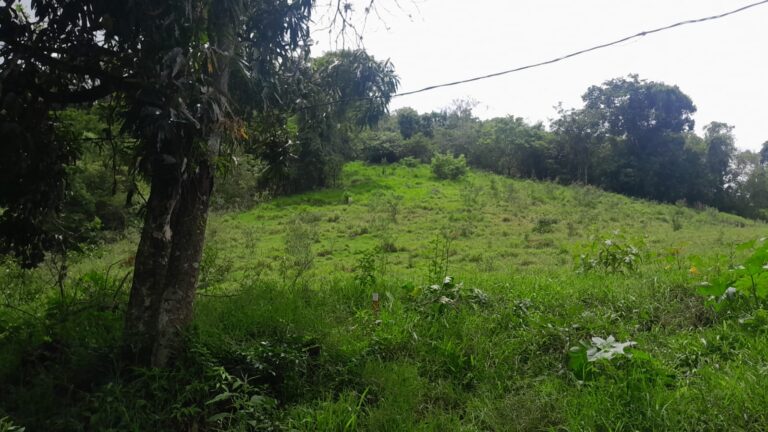 Lindas Chácaras em Àguas de Lindóia